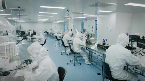 北芯生命遞交招股書 擬募資12.74億元，加速新材料技術研發與產業化進程